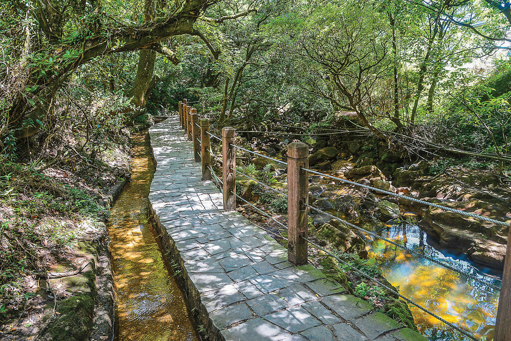 TAIPEI Spring 2019 Vol.15--Flower Viewing in Taipei: Three Routes Recommended for Couples, Friends, and Families