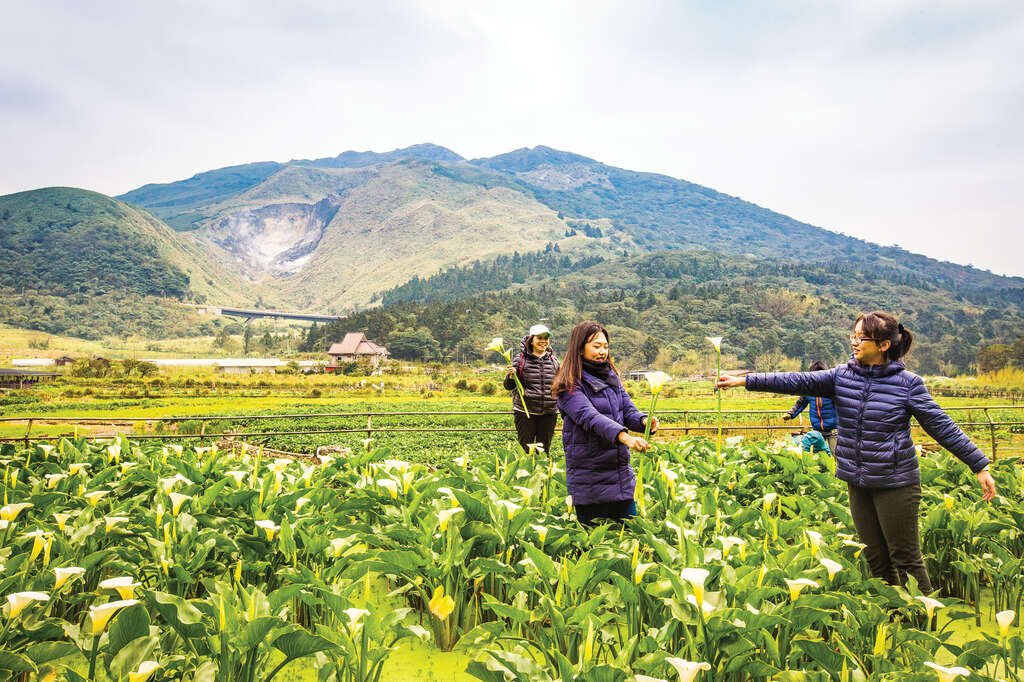 TAIPEI Spring 2019 Vol.15--Flower Viewing in Taipei: Three Routes Recommended for Couples, Friends, and Families