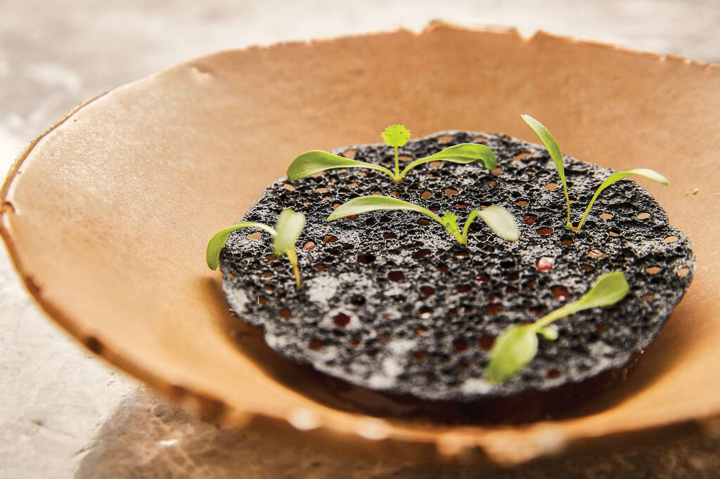 TAIPEI Spring 2019 Vol.15--Exotic Food in Taipei: Spring in the Plates