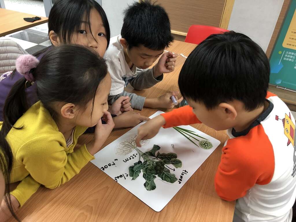 博嘉实小的课程设计，让学生在认识植物结构的同时，也能学习相关英文单字。（图／博嘉实小）