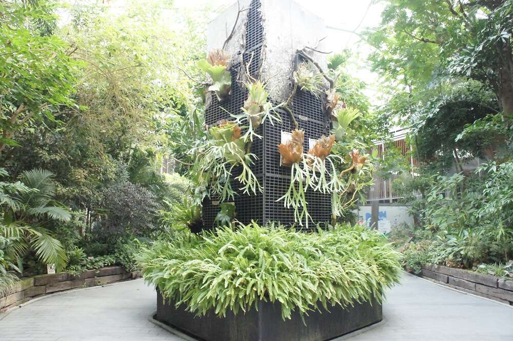 图／台北典藏植物园