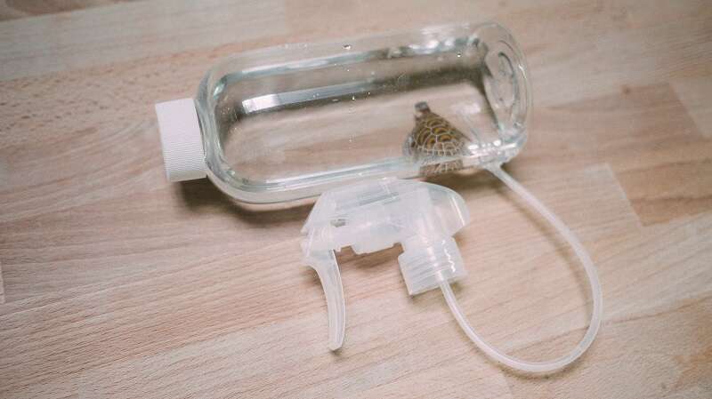 親子消暑趣    DIY寶特瓶水槍