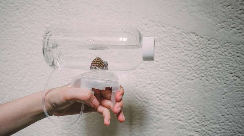 親子消暑趣    DIY寶特瓶水槍