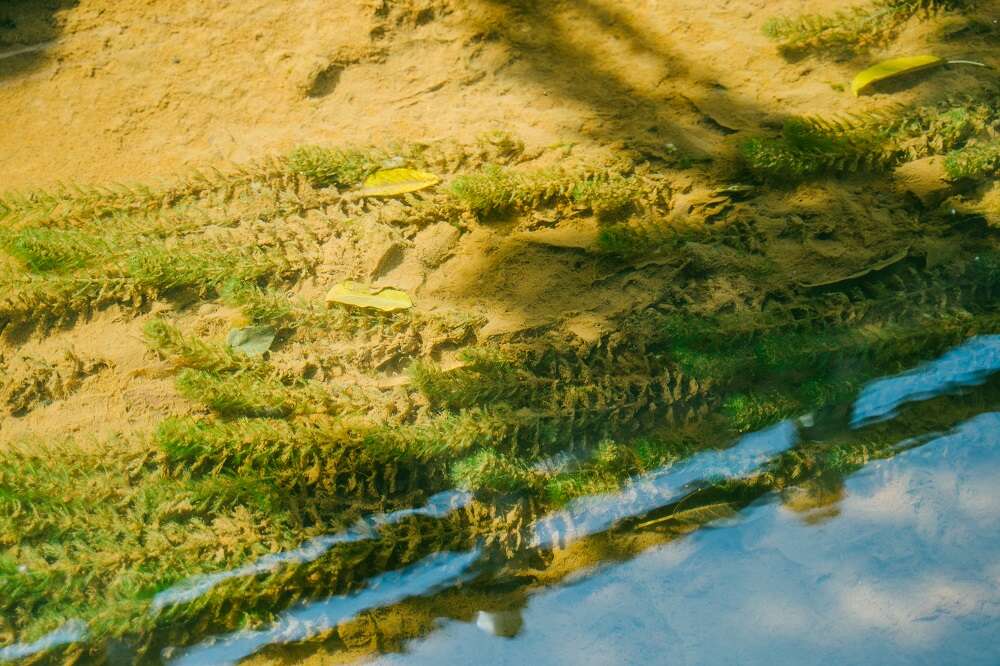 水的形状 探访河川的故事