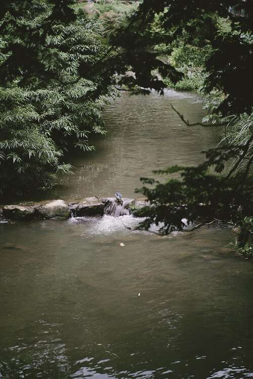 閱讀河川 發掘台北水城故事