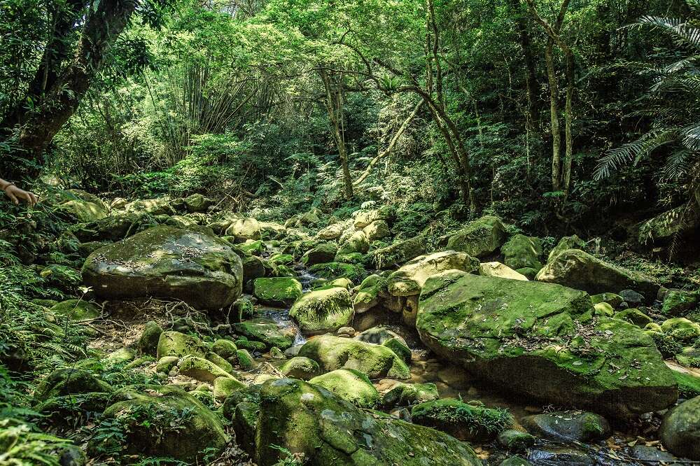 【清涼X台北　遊走台北山水間】遊走台北山水間    感受炎夏中的一抹清涼