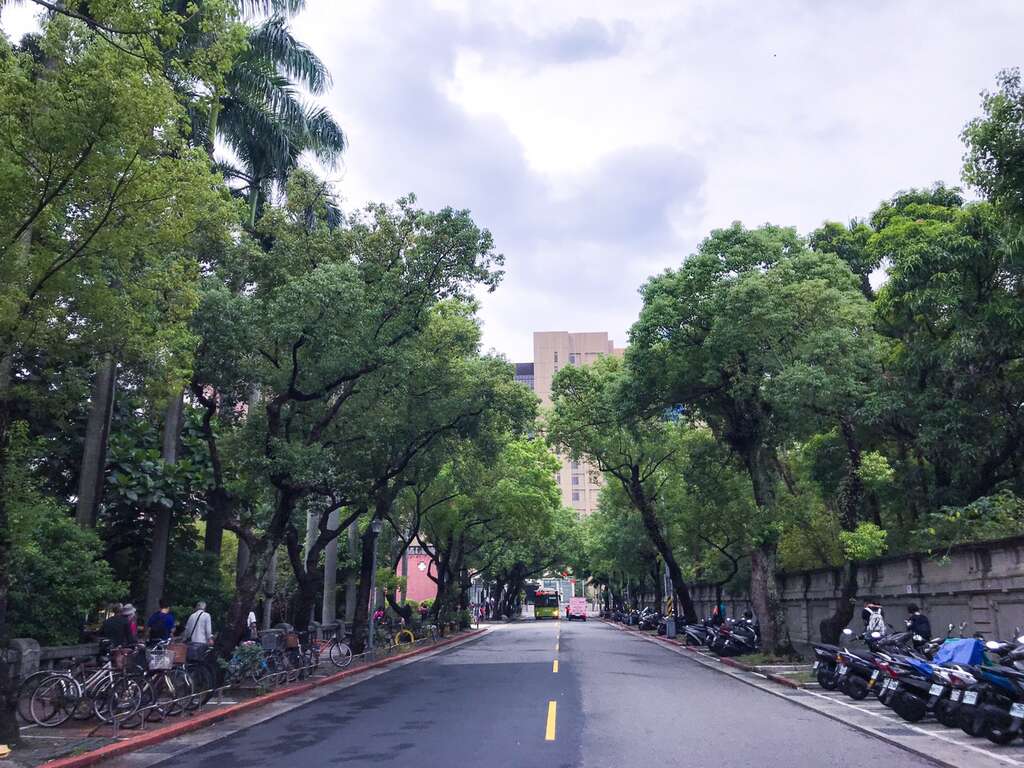 【飄揚X台北　跟著彩虹旗前進】二二八公園與常德街　跟著彩虹去旅行(台北畫刊108年10月)