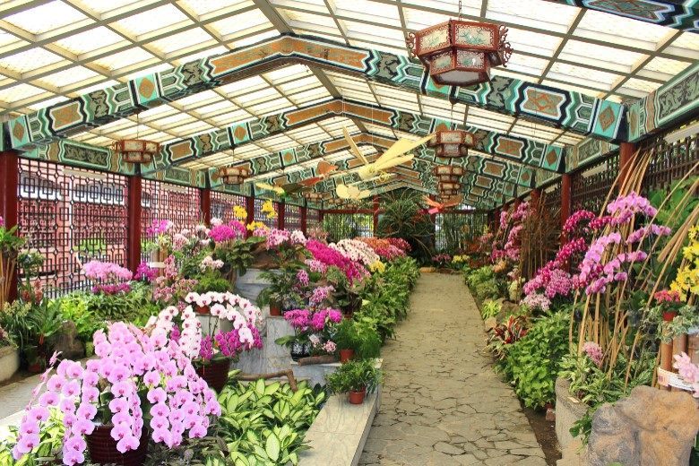 士林官邸2020春節花卉展自1月25日起展出