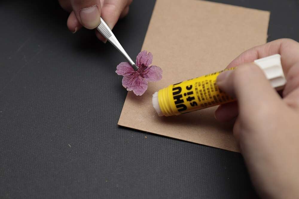 熨斗壓花教學 製作獨一無二的花朵藏品【粉嫩X台北 漫天飛舞的花季】(台北畫刊109年2月)
