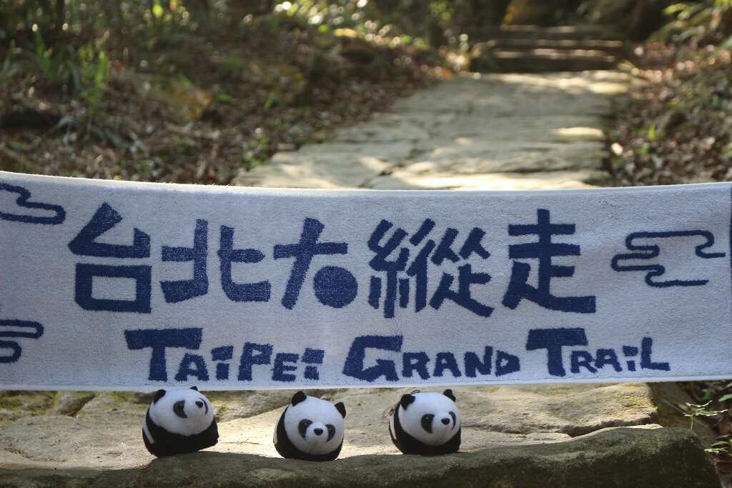 春天来的悄无声息，不知不觉中，山林里早已百花齐放，让我们一起来去大纵走赏花看树吧!