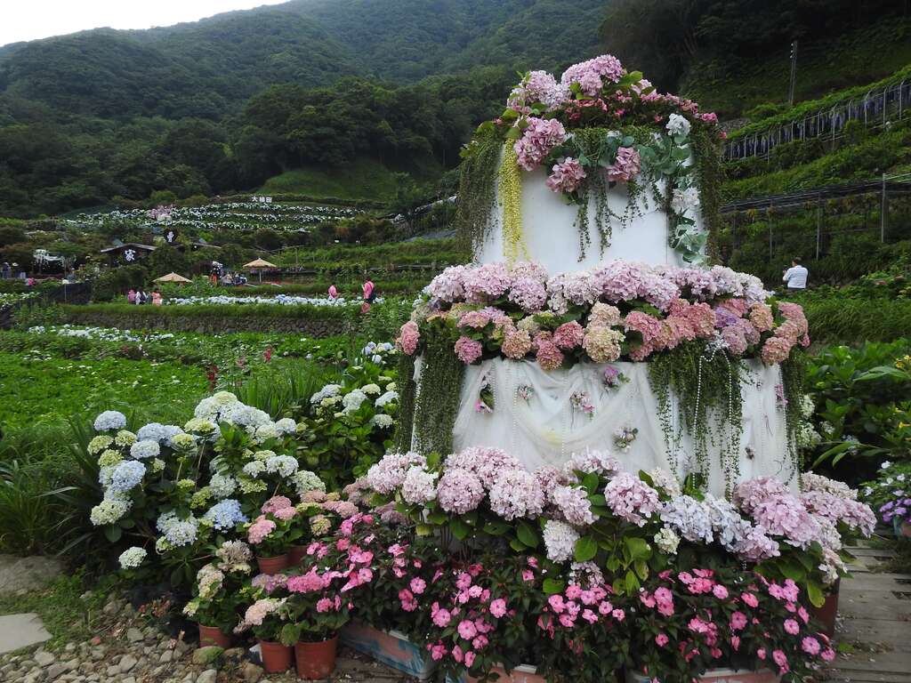 曹家花田香IG
