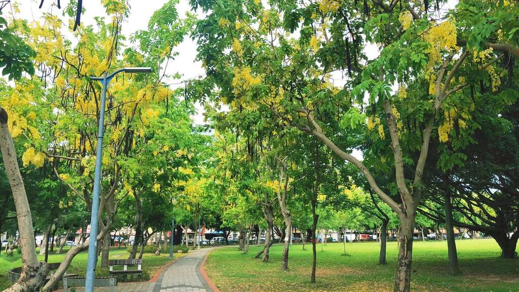 美崙公園花海廊道