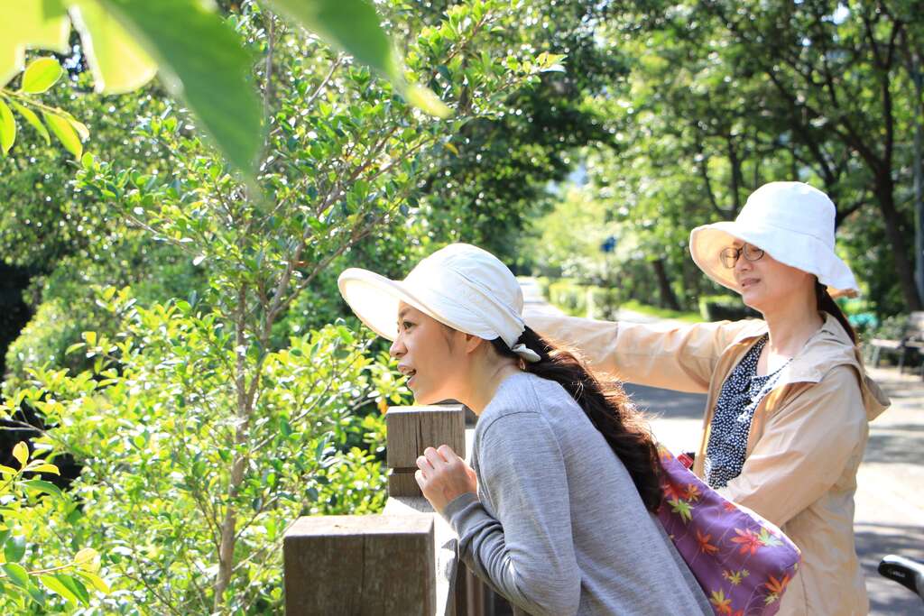 7有沒有看到枝頭上停留的鳥兒