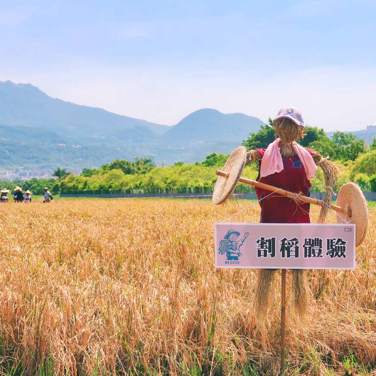 北投水稻季-稻草人