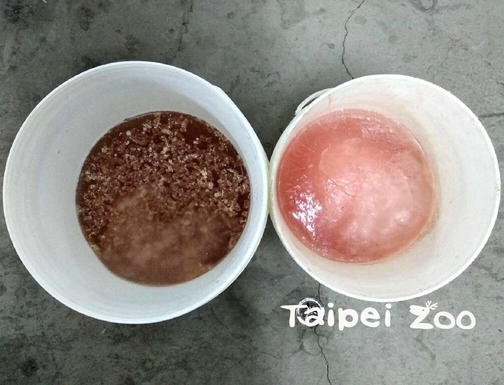 食肉目动物特制的碎肉冰及血水冰
