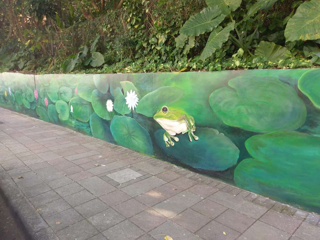 樹蛙圖案