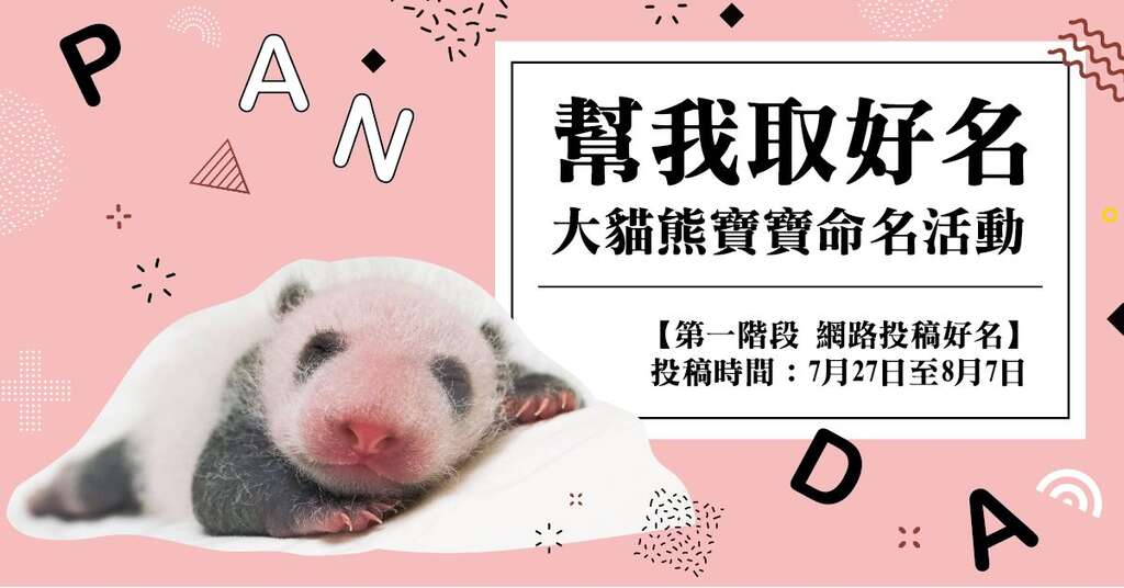 「帮我取好名〜大猫熊宝宝命名活动」