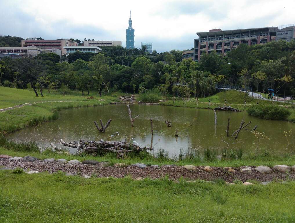 10永春陂湿地公园营造多个湿地生态池，景观十分优美。