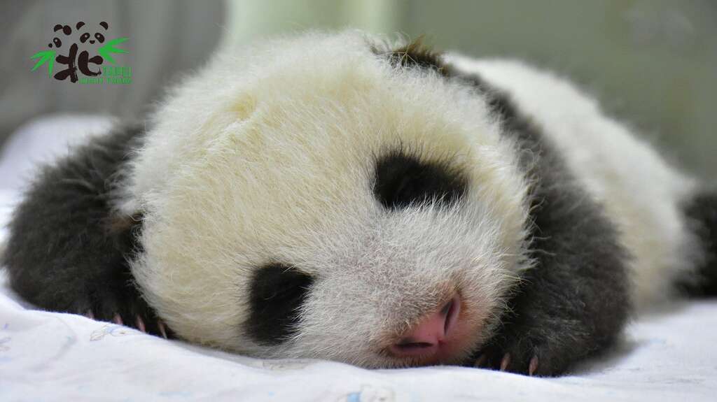 好困啊!即使健康检查要翻来翻去,我照睡无误!