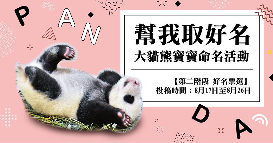 二宝名投票