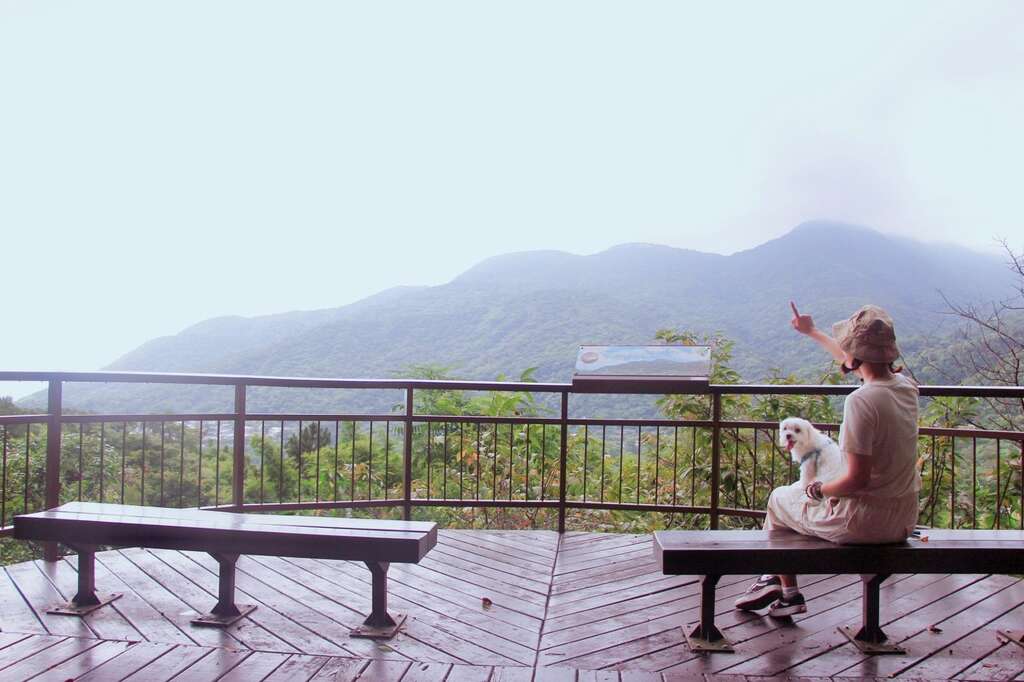 Beitou Summertime Concert Features Performance by Senior Citizen Band Kikikoko