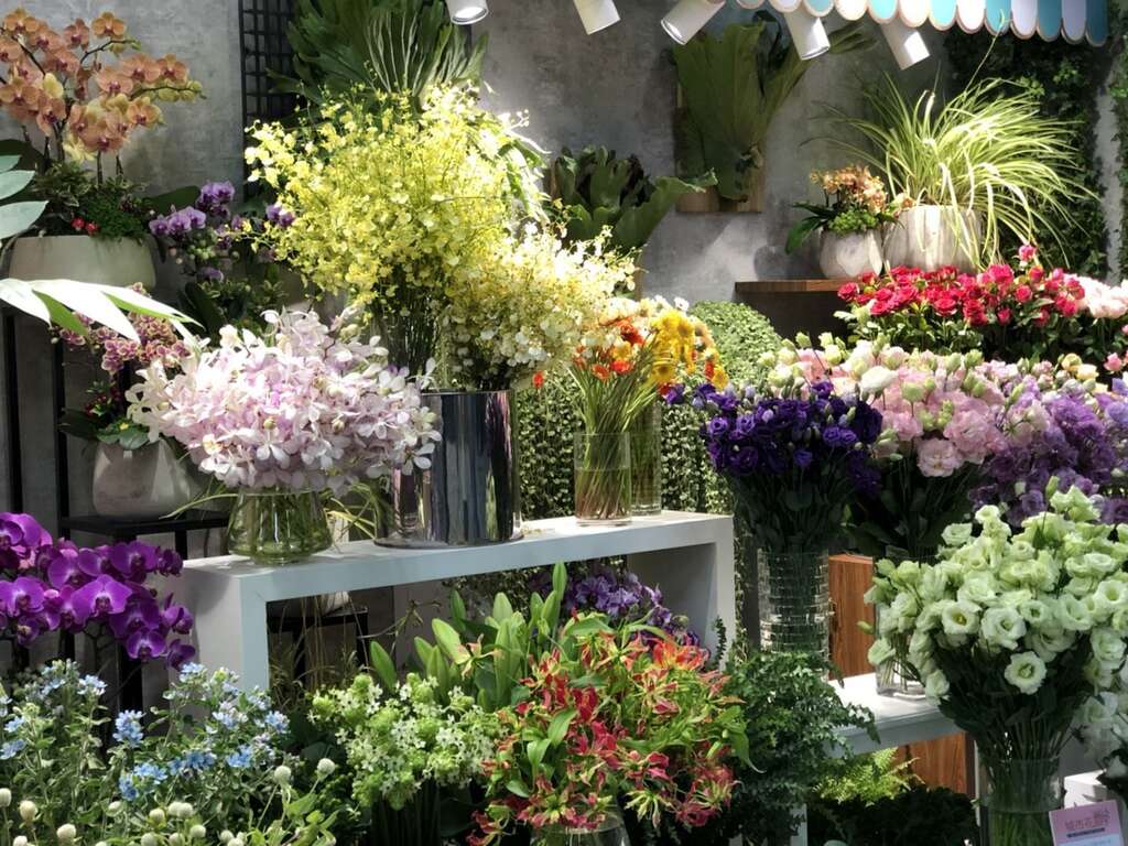 城市花廊展示多样国产花卉