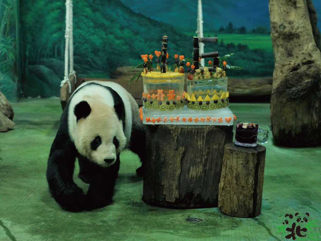 保育员特地送上外型由两个圆圈圈并排所组成的无限符号「∞」