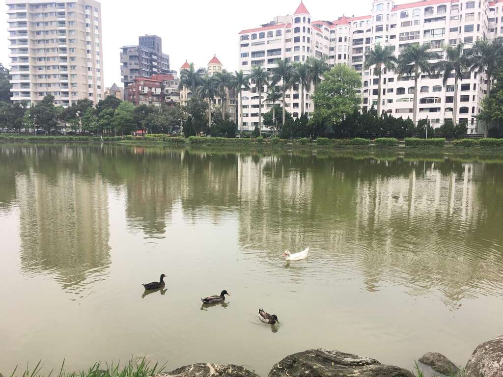 碧湖照片