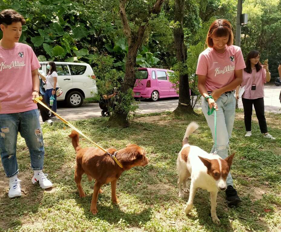 臺北鯨華女子排球隊教練鄧衍敏及球員陳莉鎔與明星犬伊比利及賓果互動