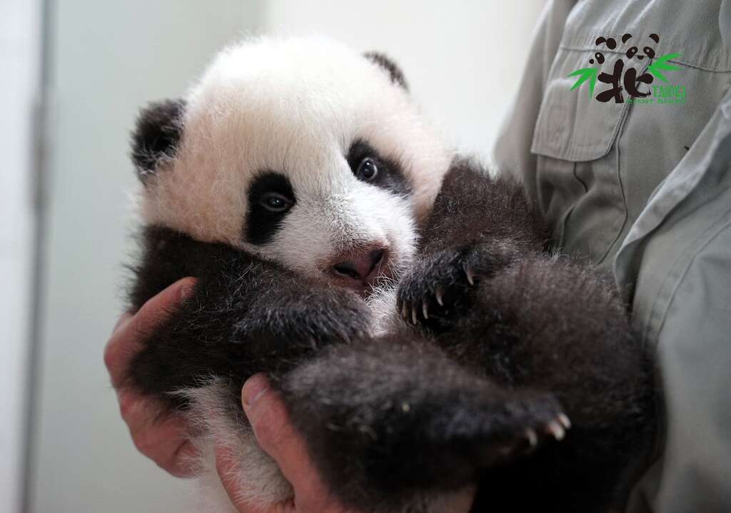 哦哦！偷跑被發現了~