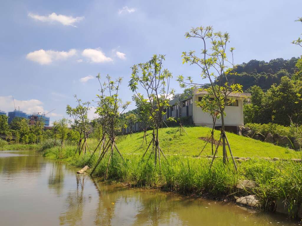 永春陂濕地公園-木屑維管步道