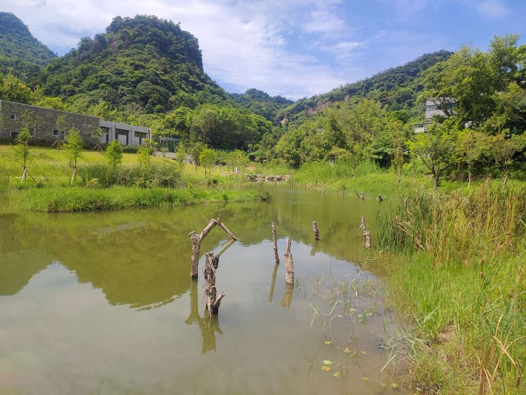 永春陂濕地公園依山傍水美景-溼地景