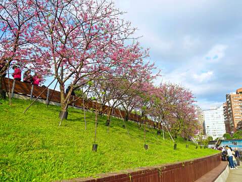 LOHAS Park