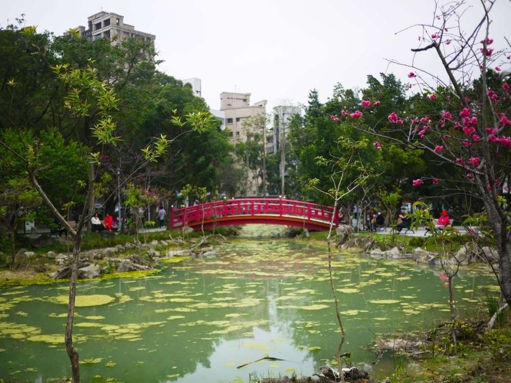 興隆公園生態池