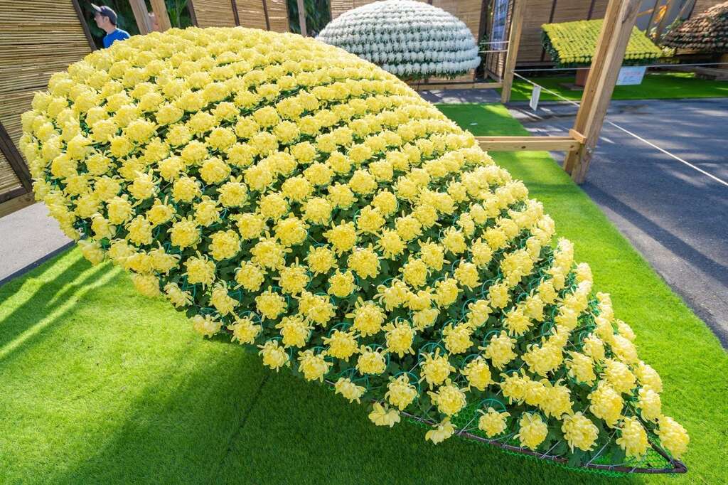 透过不同形状的层架牵引而成的「水滴型大立菊」