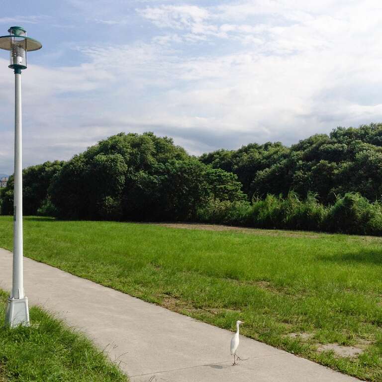 1景美河滨公园 [最大阔度 2400 最大高度 1800]