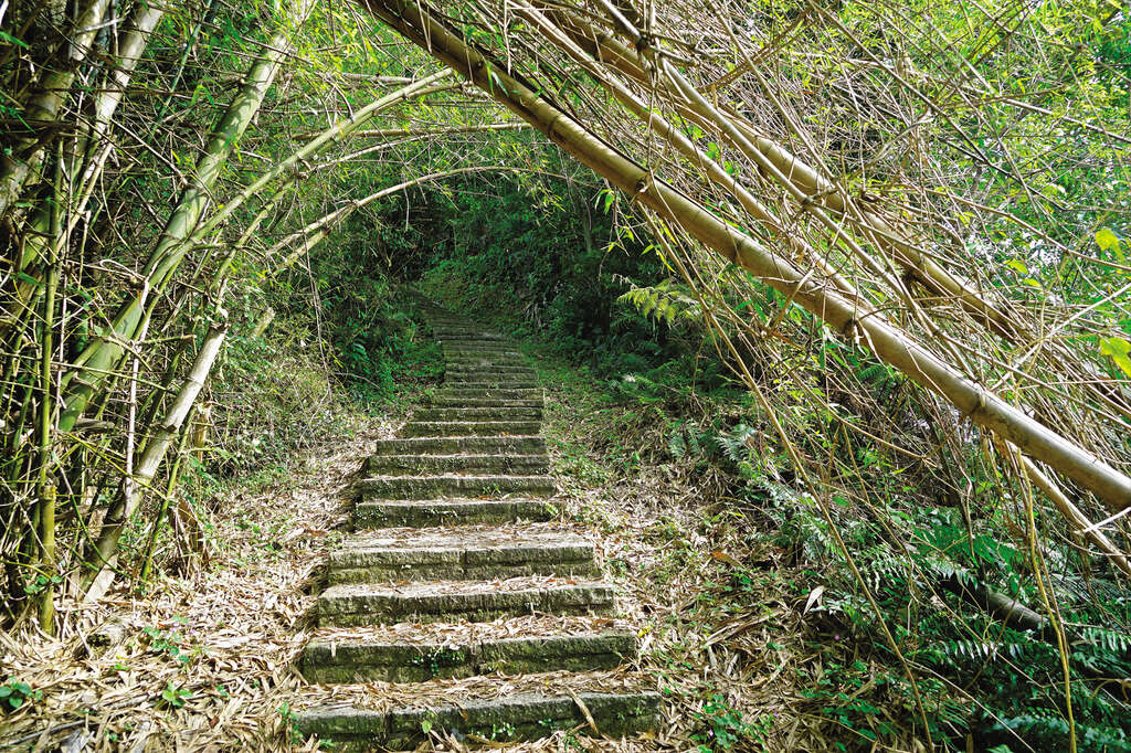 1070425_015_虎山步道_高讚賢攝