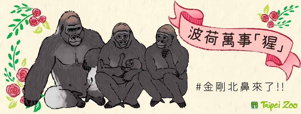 欢迎大家一起来参加金刚北鼻命名活动