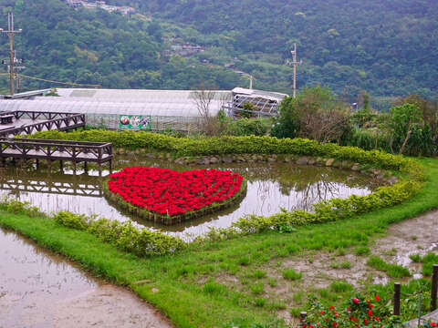 Baishihu Heart Pond
