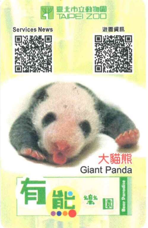 大猫熊「圆宝」限量门票