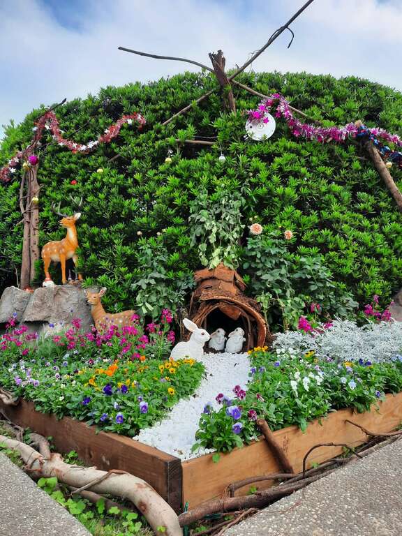 Football Chrysanthemum Displayed at Taipei Rose Garden