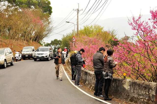 平溪產業道路沿線