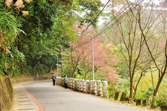 碧湖產業道路沿線