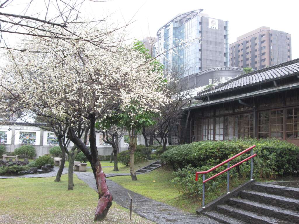 往年逸仙公园梅花开花盛况