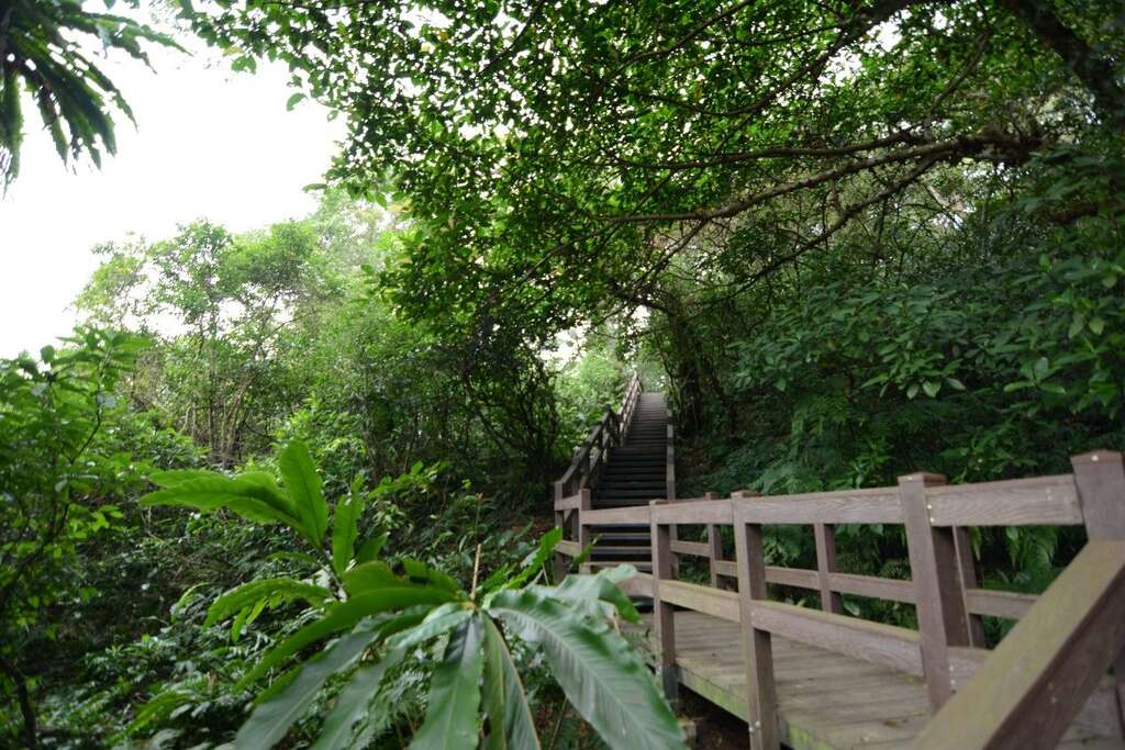 前身是軍事彈藥庫的富陽自然生態公園保留了珍貴的原始生態環境