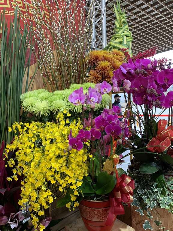 记者会花团锦簇象徵金牛年富贵吉祥