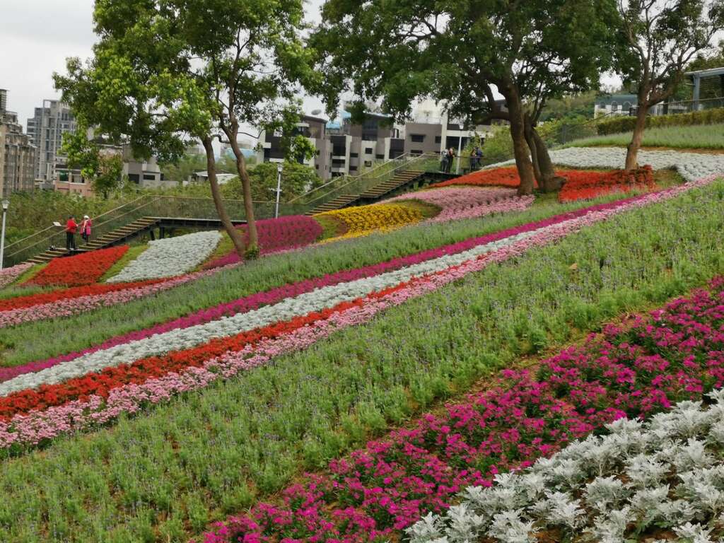 北投社三层崎公园花海