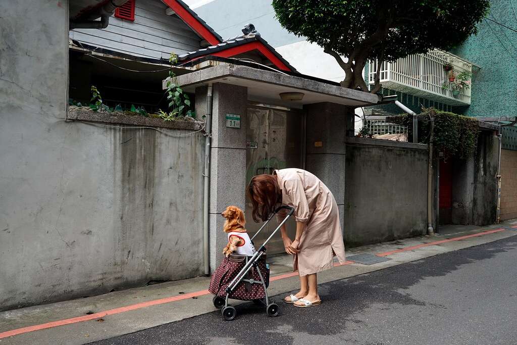永康街－是的，主人