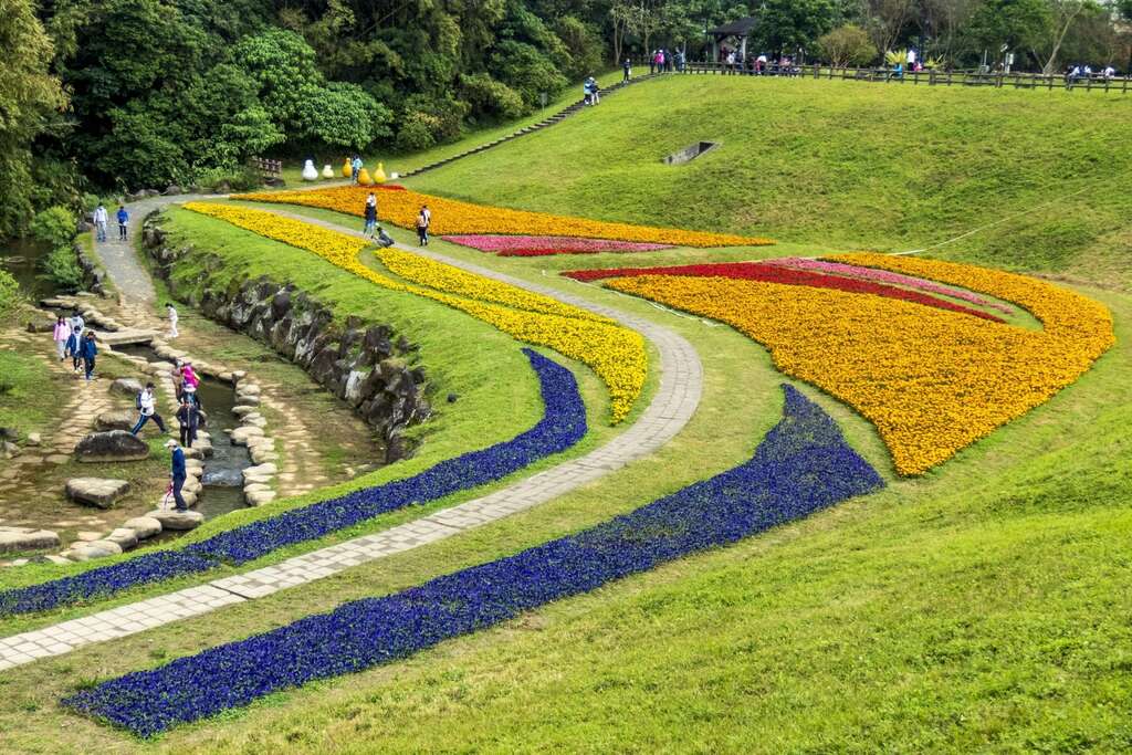 内湖「大溝溪生態治水園区」の花畑が帰ってきました