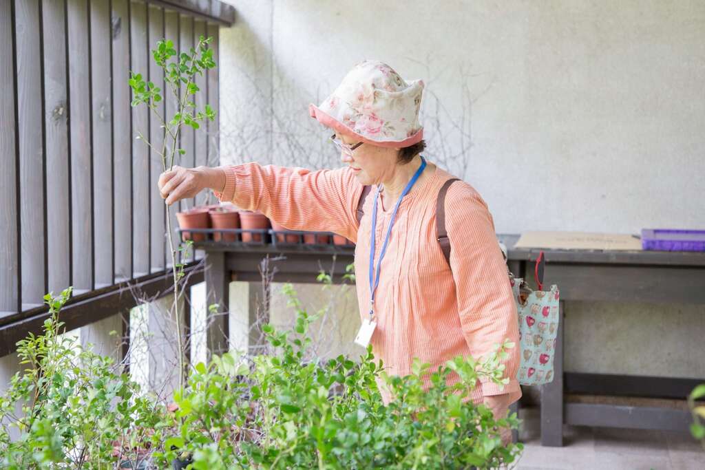 活動現場免費贈送樹苗 歡迎自備環保袋領取 數量有限贈完為止